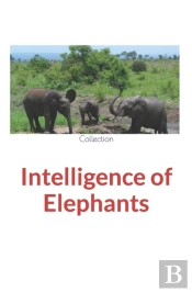 Intelligence Of Elephants