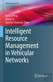 Intelligent Resource Management In Vehicular Networks