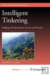 Intelligent Tinkering