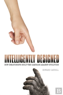 Bertrand.pt - Intelligently Designed