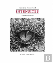 Intensités : 12 Artistes Aujourd'Hui