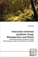 Interaction Between Symbiotic Fungi, Rhizobacteria And Plants