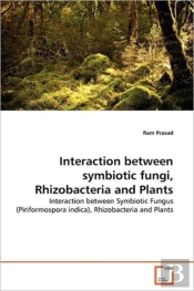 Interaction Between Symbiotic Fungi, Rhizobacteria And Plants
