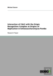 Interaction Of Cdc2 With The Origin Recognition Complex At Origins Of Replication In Schizosaccharomyces Pombe