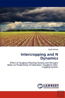 Bertrand.pt - Intercropping And N Dynamics