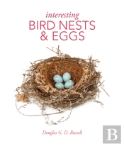 Interesting Bird Nests And Eggs