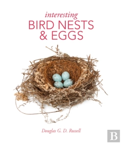 Bertrand.pt - Interesting Bird Nests And Eggs