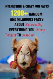 Interesting & Crazy  Fun Facts