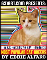 Interesting Facts About The Most Popular Cat Breeds