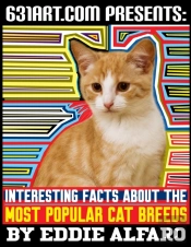 Interesting Facts About The Most Popular Cat Breeds