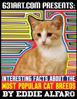 Bertrand.pt - Interesting Facts About The Most Popular Cat Breeds