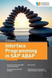 Interface Programming In Sap Abap
