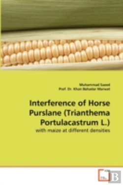 Bertrand.pt - Interference Of Horse Purslane (Trianthema Portulacastrum L.)