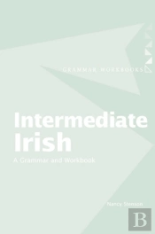Intermediate Irish: A Grammar And Workbook