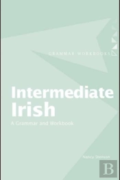 Intermediate Irish: A Grammar And Workbook