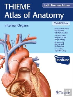 Bertrand.pt - Internal Organs (Thieme Atlas Of Anatomy), Latin Nomenclature