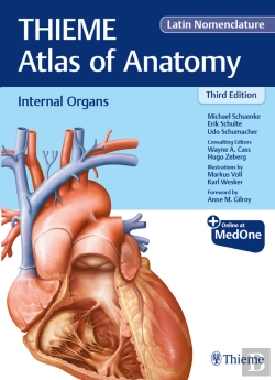 Bertrand.pt - Internal Organs (Thieme Atlas Of Anatomy), Latin Nomenclature