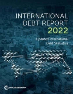 Bertrand.pt - International Debt Report 2022