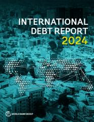 International Debt Report 2024
