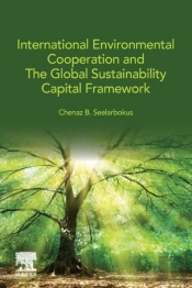 International Environmental Cooperation And The Global Sustainability Capital Framework