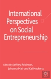 International Perspectives On Social Entrepreneurship