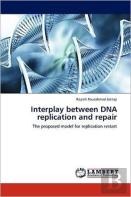Interplay Between Dna Replication And Repair