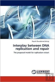 Interplay Between Dna Replication And Repair