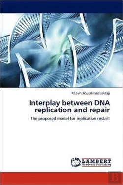 Bertrand.pt - Interplay Between Dna Replication And Repair
