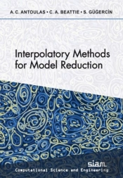 Interpolatory Methods For Model Reduction