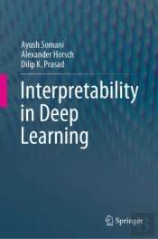 Interpretability In Deep Learning