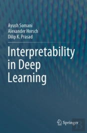 Interpretability In Deep Learning