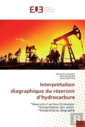 Interpretation Diagraphique Du Reservoir D'Hydrocarbure - Reservoirs Cambro-Ordovicien *Interpretati