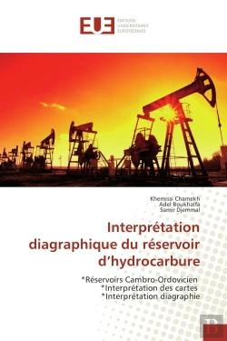 Bertrand.pt - Interpretation Diagraphique Du Reservoir D'Hydrocarbure - Reservoirs Cambro-Ordovicien *Interpretati