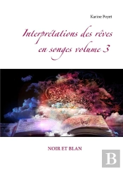 Interpretations Des Reves En Songes Volume 3 Noir Et Blan