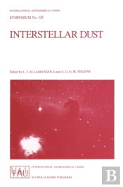 Interstellar Dust