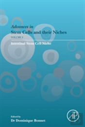 Intestinal Stem Cell Niche