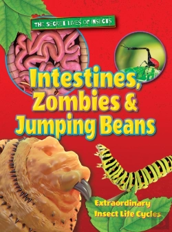 Bertrand.pt - Intestines, Zombies And Jumping Beans