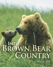 Into Brown Bear Country