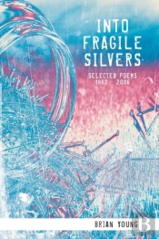 Into Fragile Silvers