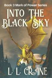 Into The Black Sky