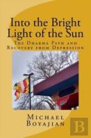 Into The Bright Light Of The Sun