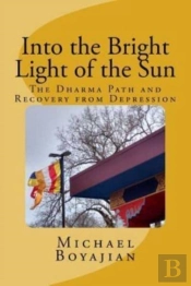 Into The Bright Light Of The Sun