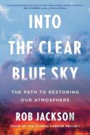Into The Clear Blue Sky