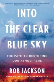 Into The Clear Blue Sky