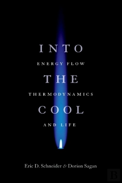 Bertrand.pt - Into The Cool
