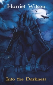 Into The Darkness