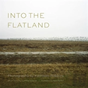 Into The Flatland