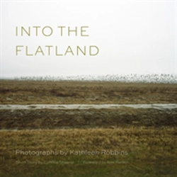 Bertrand.pt - Into The Flatland