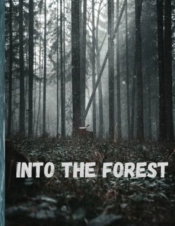 Into The Forest