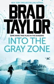 Into The Gray Zone